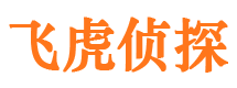 宜春市侦探调查公司